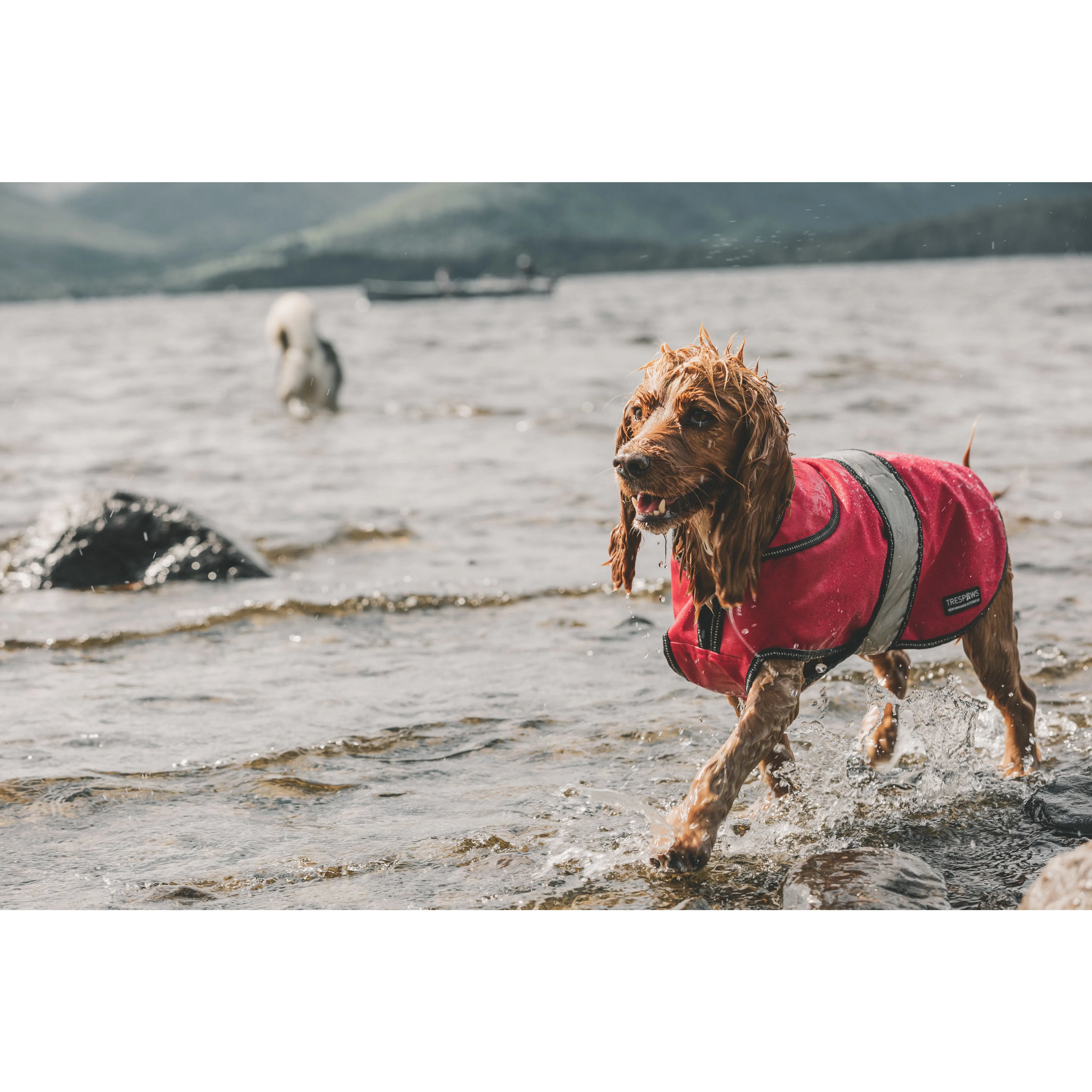 Duke-X  2 In 1 Waterproof Dog Jacket With Inner Fleece