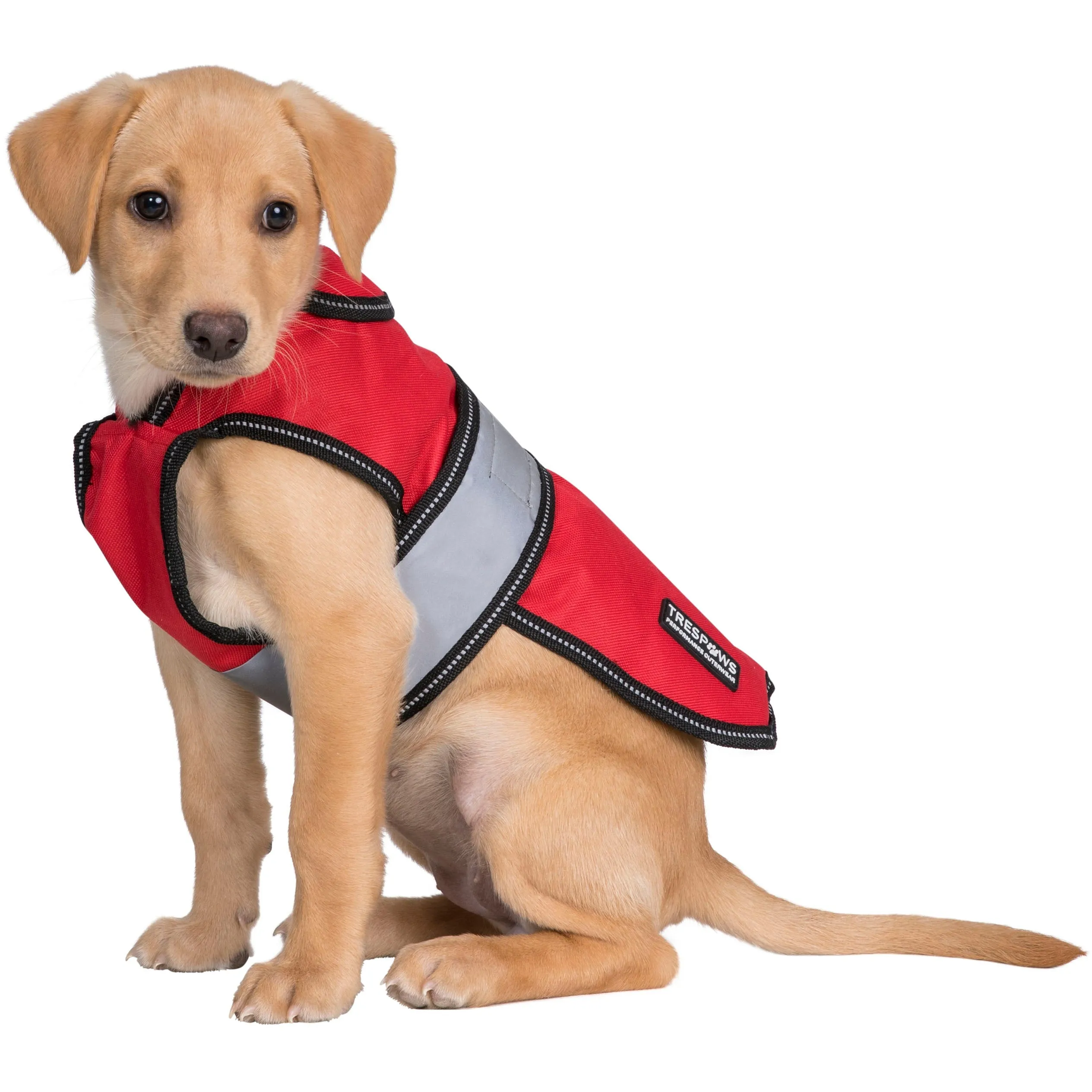 Duke-X  2 In 1 Waterproof Dog Jacket With Inner Fleece